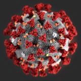 Coronavirus COVID-19 - Official virus visualization